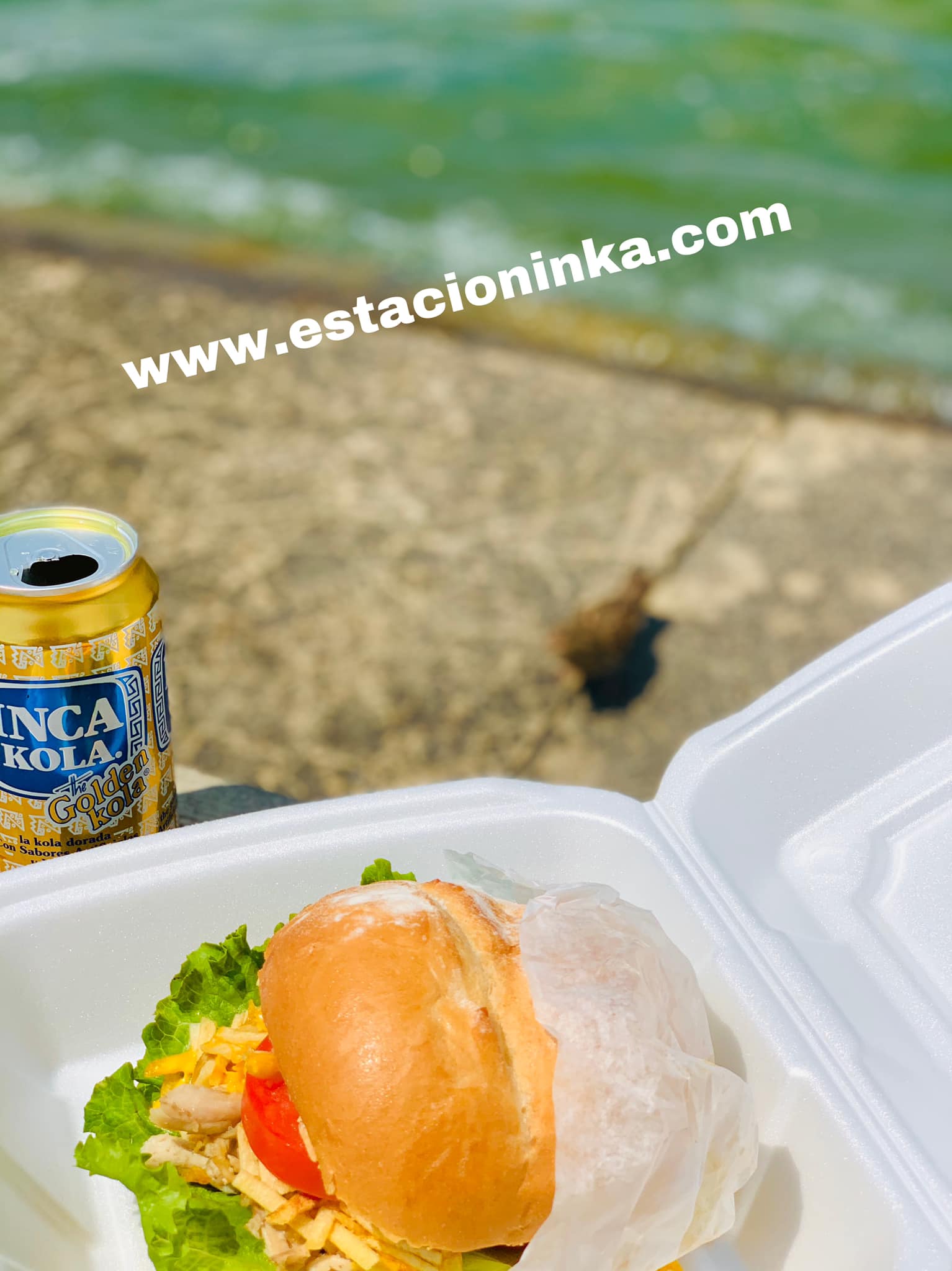 Estacion Inka 616 University Ave, Madison