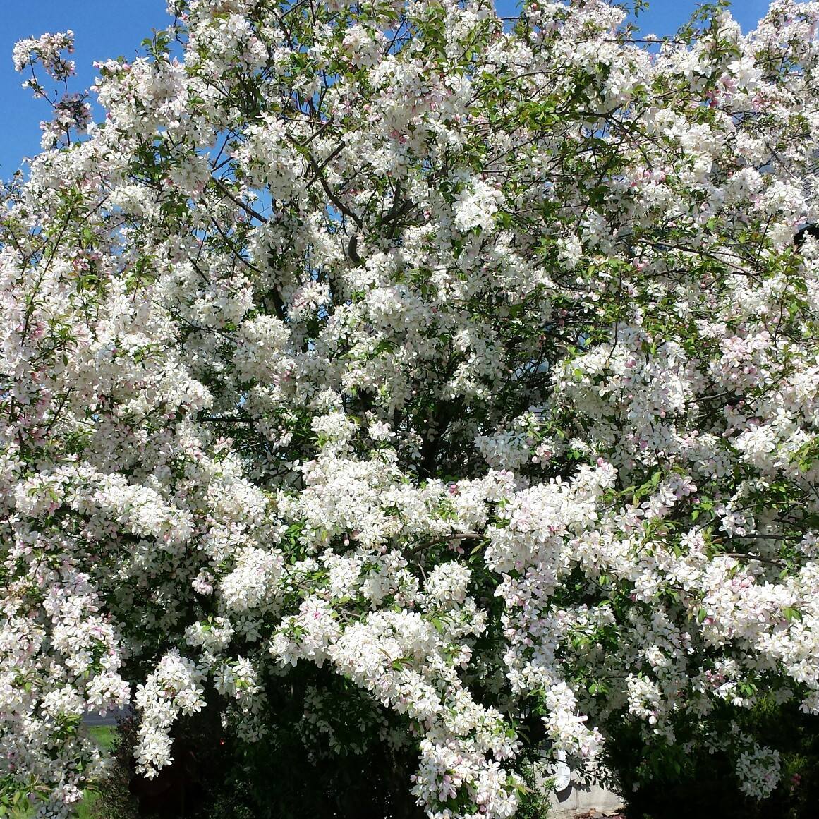 KIEL STORAGE CENTER New Holstein WI Hours, Directions, Reviews