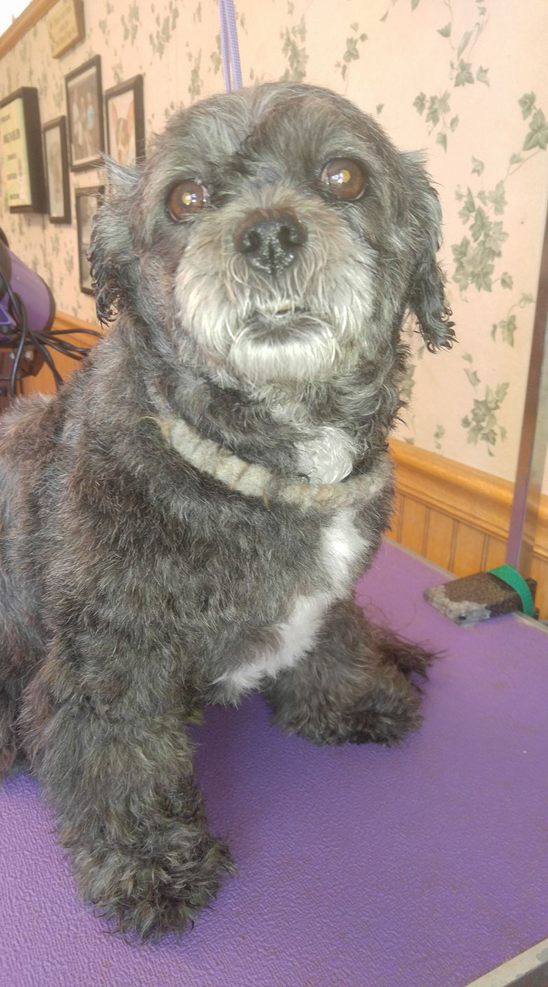 Sittin' Pretty Racine