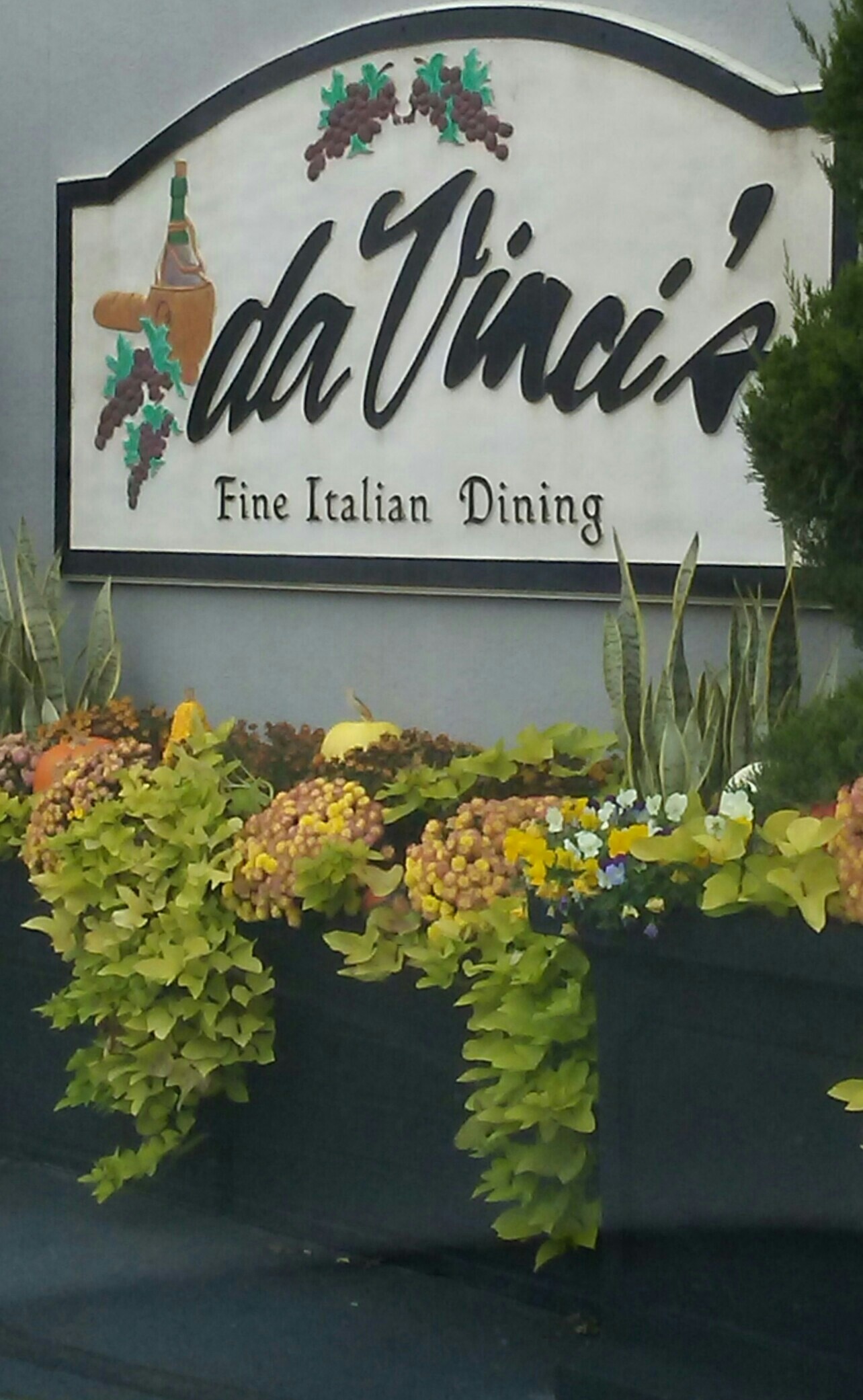 Photo credit: yellowpages